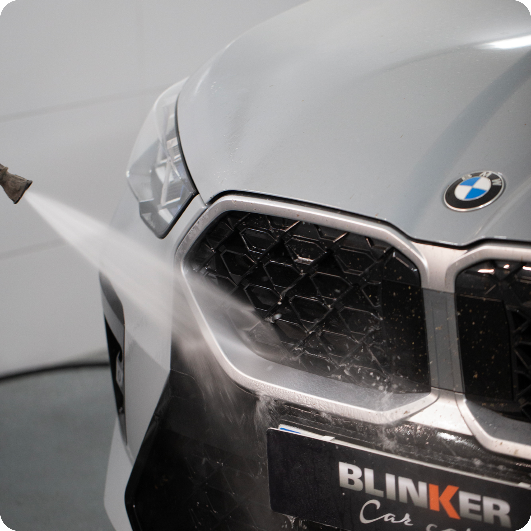 Eliminador de insectos Active Insect Remover