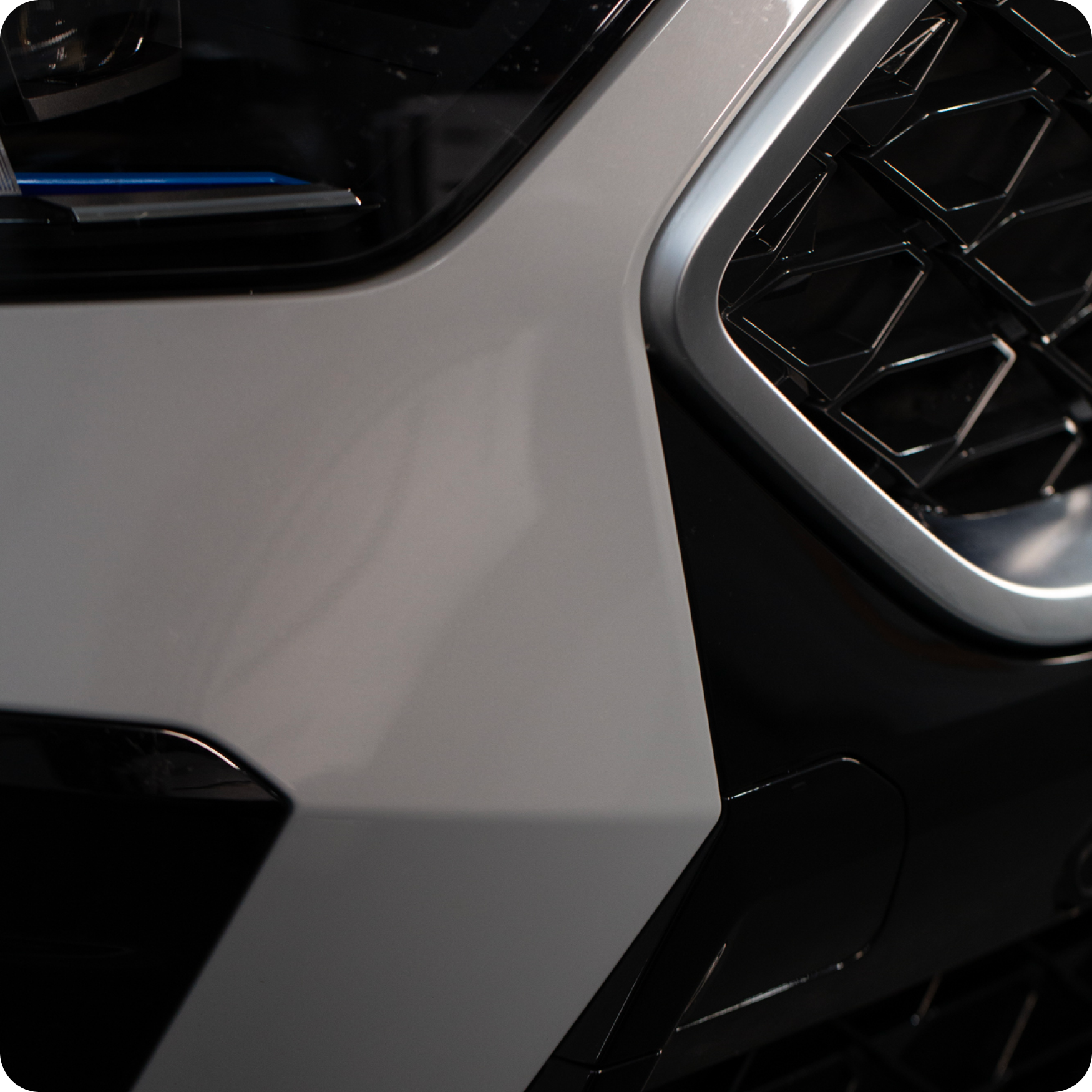 Eliminador de insectos Active Insect Remover