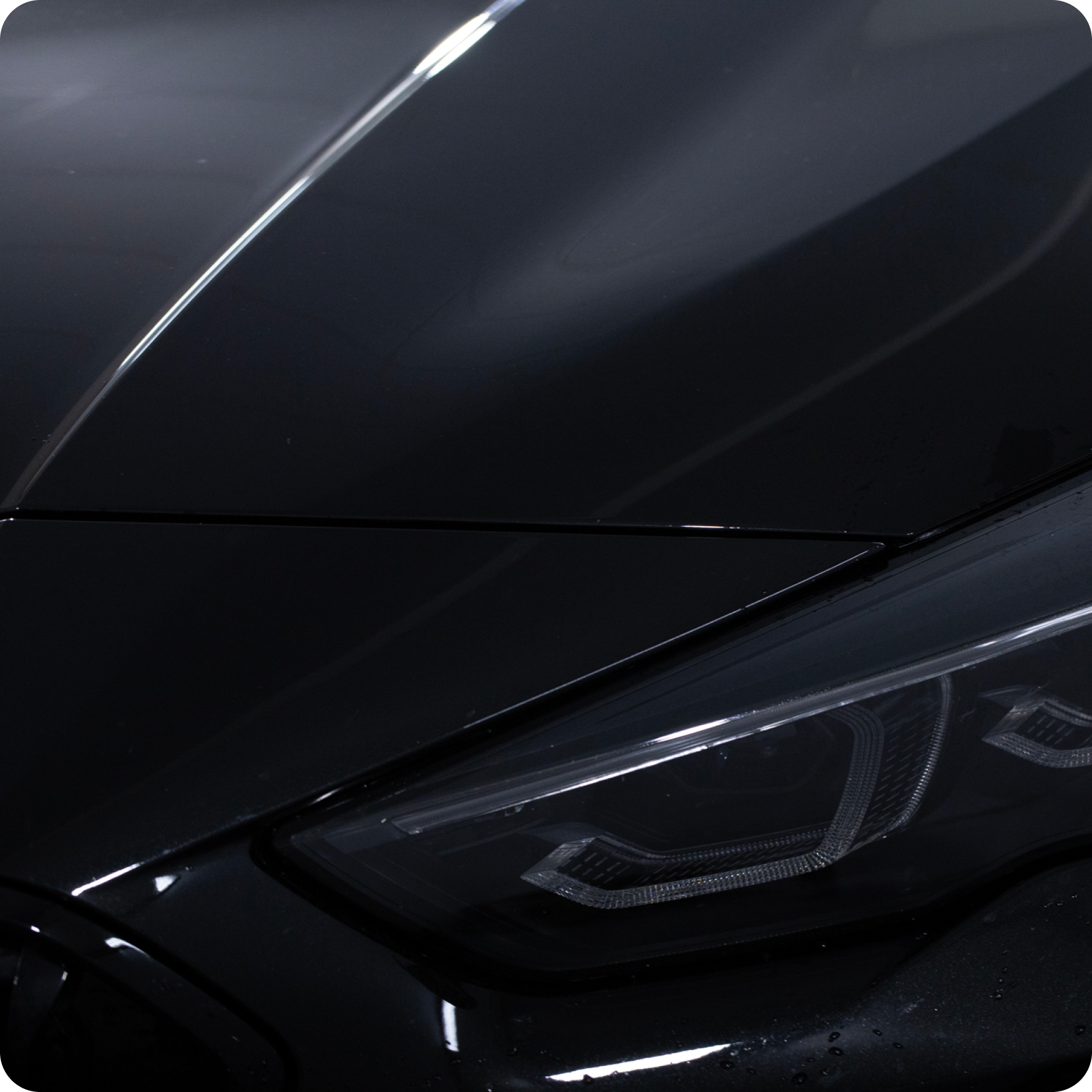 Champú con cera Wash and Wax